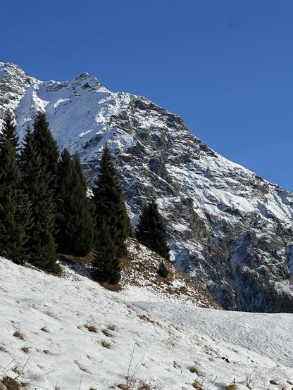 A snowy mountainscape with fir trees lining the left of the image, and a rocky slope diagonally rising across the image under a clear blue sky.