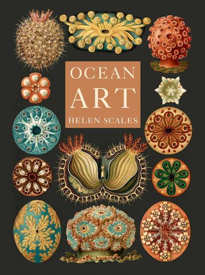 Book cover. The title block “Ocean Art, Helen Scales” is surrounded by sea squirts (ascidians) from Ernst Haeckel, Kunstformen der Natur, 1904.