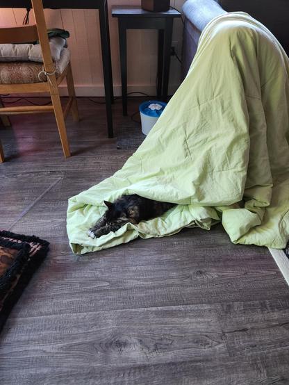 A small tabby cat is asleep in a green blanket draped over a couch arm.