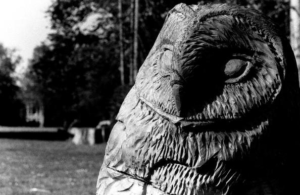 A wooden owl has been imaged half in and half out of shadow.
