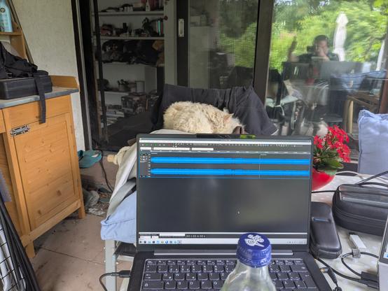 A laptop screen showing the audio software Tenacity with a dark theme. A project called "Live at GPN24 - 2026" is loaded, visible are two fat blue lines representing 1 hour and 22 minutes of stereo audio zoomed out to the screen width. A Mio Mio Mate bottle is visible in front of the laptop on a table on our balcony On a chair in the background sleeps Oskar, a white fluffy cat. Behind him is the balcony door, you can see me vaguely mirrored in the glass plane showing a thumbs up.