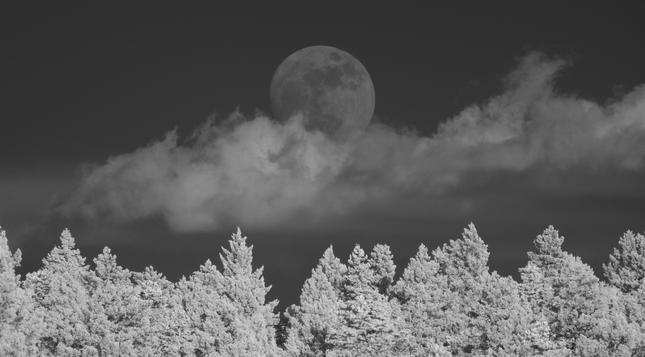 The full moon rises above ragged low clouds, with conifers in the foreground.

This infrared image looks odd because trees are very bright in IR, and the sky becomes very dark by comparison.