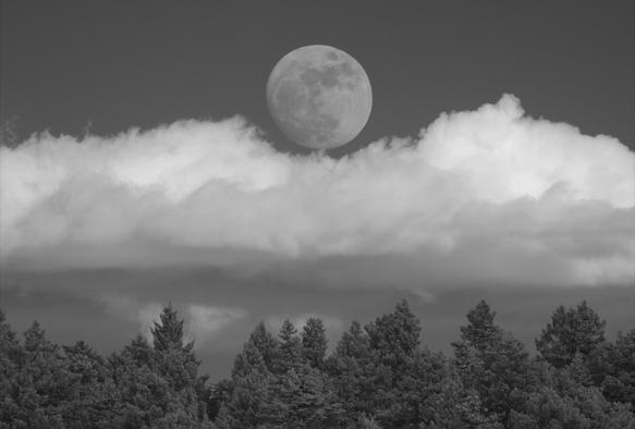 Clouds put the foreground trees into shadow, so they were no longer the brightest objects in the frame. I adjusted exposure to capture the different range of tonal values. This is an infrared image, but it looks closer to what we experience with our eyes because the trees are in shadow...compared to the first photo...so the trees do not appear as if they were snow-covered.