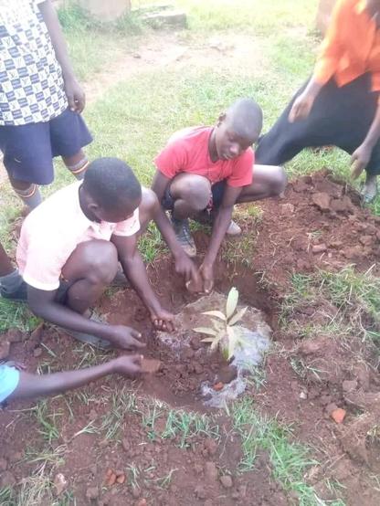 Tree planting is what we can do