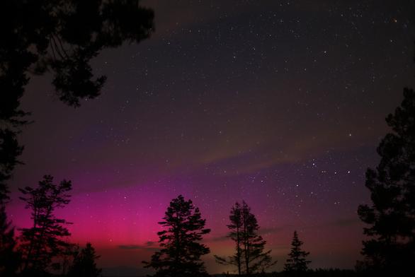 A wide angle time exposure of the night sky looks north and slightly east. The sky is mostly clear, but some cirrus are present. The lower left quadrant of the frame shows red/pink aurora. Above that area is rather faint blue aurora. Trees make black silhouettes.

The familiar "W" asterism of Cassiopeia is in the lower right corner.