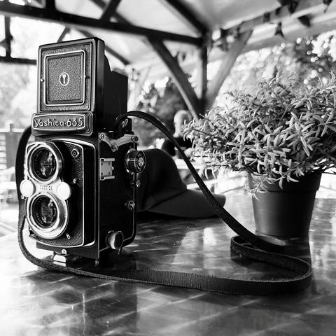 A large classic TLR camera sits on a table, both lenses are uncovered and the focusing screen is uncovered.  The camera is looking out of the image to the left. To the right of the camera is a small potted herb. Behind the camera is a cap and in the background is a wooden beamed structure that forms a covered area for an outdoor cafe.