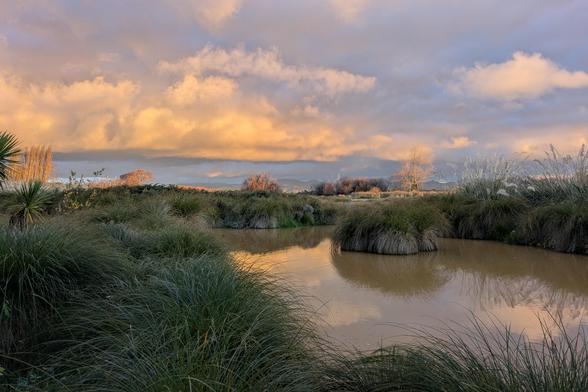 Back near the viewing hide at Travis Wetland at sunset. The water is not very deep and brown, and there are lots of marshy plants. The sky is orange with some clouds.