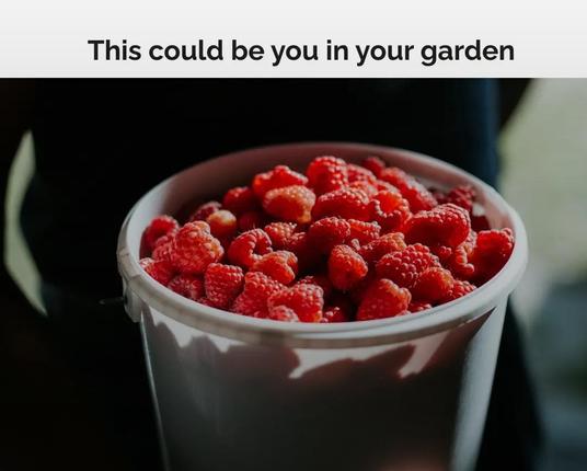 Everyone can plant this