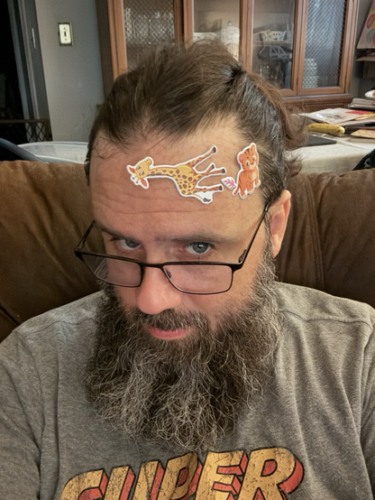 A man with a cool looking beard, stylish glasses and the most amazing man bun with colorful animal animal stickers stuck on his forehead