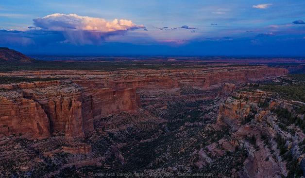 Aerial view of a layered red sandstone canyon with vertical walls. It has small trees and shrubs along the bottom and mesa tops. It is evening and the horizon is dark blue, almost purple. There is one cloud at left dropping virga and whose top is bright white and yellow at is catches the last rays of the sun.
©BosqueBill.com