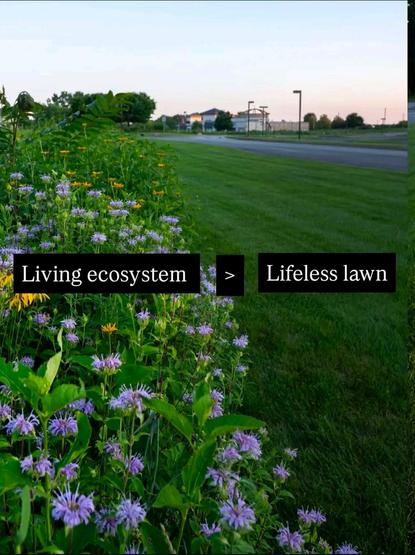 Together we can regreen our planet
