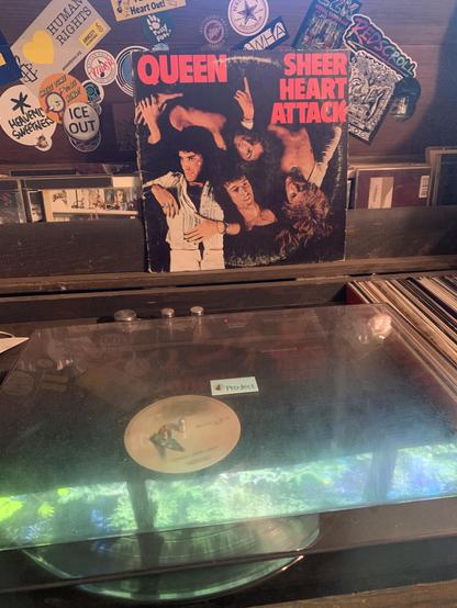 Queen on the turntable