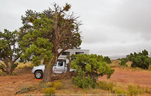 A silver pickup with a pop up camper sits behind an old, weather-worn juniper. Other small tress are around across the red, sandy soil. Heavily overcast sky.
©BosqueBill.com
