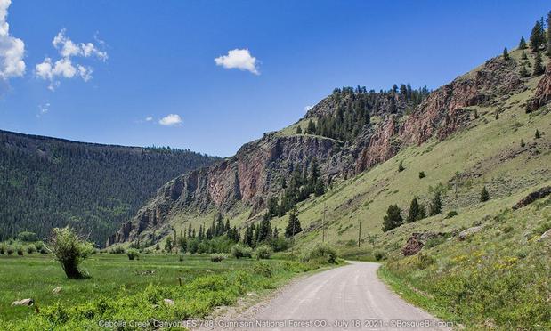 A gravel road winds along a forested valley that has the right wall a rocky cliff. Grass covers the flat valley floor. Blue sky with a few small white clouds.
©BosqueBill.com