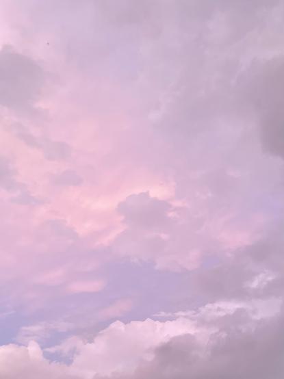 Looking up at a sky completely filled with overlapping layers of fluffy clouds, very delicately coloured pink and purple by the setting sun, with blues showing through in a few places.

In the top left corner is the very tiny silhouette of a commercial airliner flying overhead.