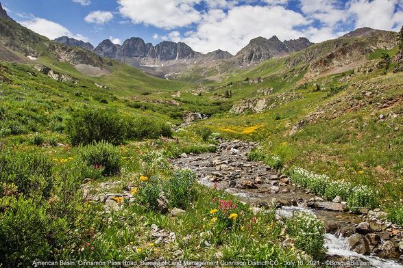 View up a wide alpine valley covered in swaths of colorful wildflowers; a stream flows from a sawtooth ridge. Blue sky with clouds.
©BosqueBill.com