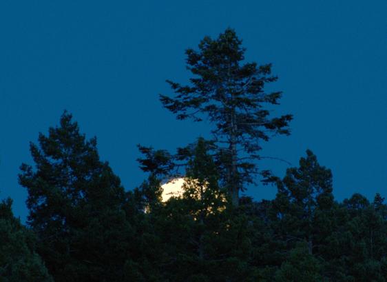 As the moon first was coming up from behind distant conifers, still mostly hidden, I set the exposure to show the foreground. This meant the moon's face was overexposed and featureless.