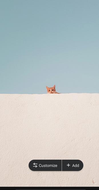 Picture of an orange cat up on the flat roof of a white building. The background is composed of a very soft blue sky. Could be Greece. Could be Morocco. It's a lovely composition