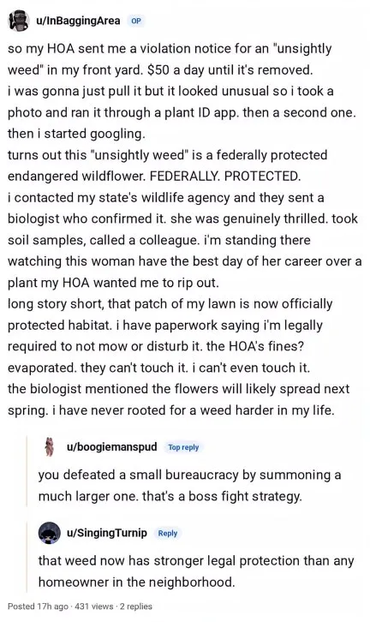 reddit post from InBaggingArea

so my HOA sent me a violation notice for an "unsightly weed" in my front yard. $50 a day until it's removed.
i was gonna just pull it but it looked unusual so i took a photo and ran it through a plant ID app. then a second one. then i started googling.
turns out this “unsightly weed" is a federally protected endangered wildflower. FEDERALLY. PROTECTED.
i contacted my state's wildlife agency and they sent a biologist who confirmed it. she was genuinely thrilled. took soil samples, called a colleague. i'm standing there watching this woman have the best day of her career over a plant my HOA wanted me to rip out.
long story short, that patch of my lawn is now officially protected habitat. i have paperwork saying i'm legally required to not mow or disturb it. the HOA's fines? evaporated. they can't touch it. i can't even touch it. the biologist mentioned the flowers will likely spread next spring. i have never rooted for a weed harder in my life

u/boogiemanspud

you defeated a small bureaucracy by summoning a much larger one. that's a boss fight strategy.

u/SingingTurnip

that weed now has stronger legal protection than any homeowner in the neighborhood.
