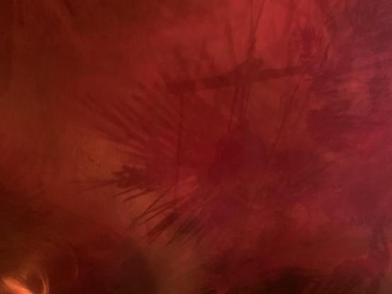 Dark shadows bloom against a field of red