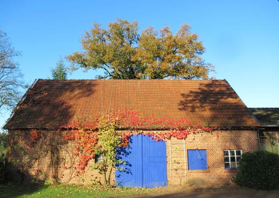 Ein alter Bachsteinstall. Die Längseite ist mit herbstlichem Weinlaub bewachsen. In der Mitte ein großes, blau gestrichenes Holztor.