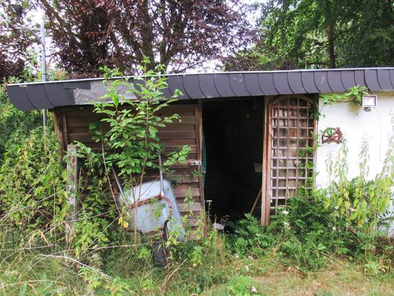 Eine verlassene Gartenlaube, die Tür steht offen, an der Wand links daneben ist eine Schubkarre angelehnt, alles ist etwas von Grün überwuchert.