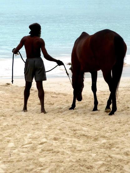 At dawn, with little ambient light, the luminosity of the sea water and the sand makes the photograph turn the rider and the horse that are by the sea in Barbados into Silhouettes.