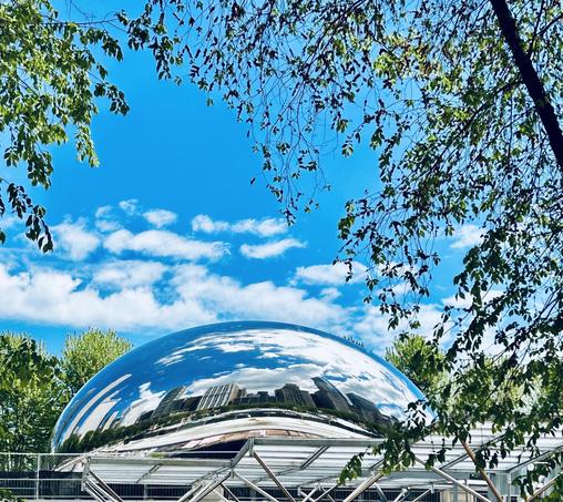 A color photo that shows some white slats along the bottom. Right above that is a giant sculpture shaped like a silver kidney bean. The city skyline of Chicago is being reflected horizontally across the bean along with the clouds and blue sky.  Above there's a tree branch on the upper right side with hanging leaves and a few more coming down on the left side.