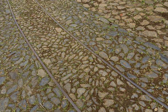 Bildfüllend ist das Pflaster einer Straße zu sehen. Zwischen die Steine eingebettet verrostete Schienen.