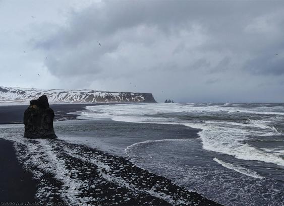 A colour photo in an almost monochrome palette of a black beach. In the distance is a snow-covered mountain of dark rock and sea stacks are in the ocean at its end. The sea itself is wild and foamy, white surf is on every wave. The sky is heavy with stormy grey cloud, and there are many seabirds wheeling above the viewpoint. On the left and at the near end of the black beach is a large solitary rock. From its base and towards the viewer is a thick line of white ice pieces, cluttering the black sand.
Please note that this image was taken before the black beach was reclaimed by the sea in February 2026. Eventually, Reynisfjara is expected to return to its familiar appearance.