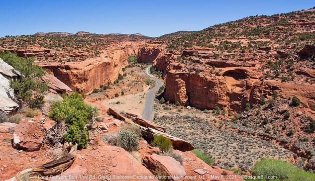 Looking down along a narrow, steep canyon cut into a massive area of red sandstone. A paved road runs up the canyon. Scattered desert shrubbery. In the foreground a dirt and rock ledge. Blue sky.
©BosqueBill.com