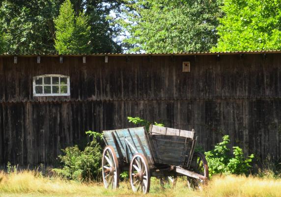 Historischer, blauer Ackerkarren aus Holz vor einer Schuppenwand mit einem kleinen, weißen Sprossenfenster. Dahinter hohe Bäume, etwas blauer Himmel.