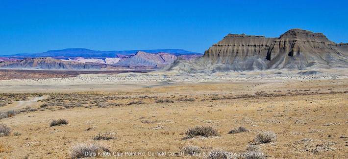 Wide photo of a desert landscape featuring buttes, ridges, and dunes of various colorful minerals; a few low sere plants; distant mountains; and a rough dirt road on the far left.
©BosqueBill.com