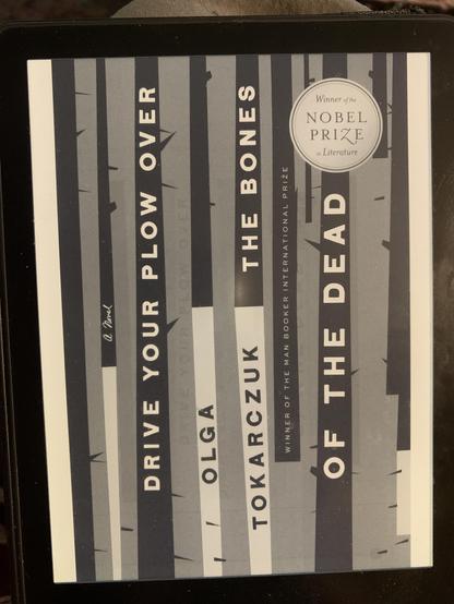 The book cover with the title and author in grey and black stripes.