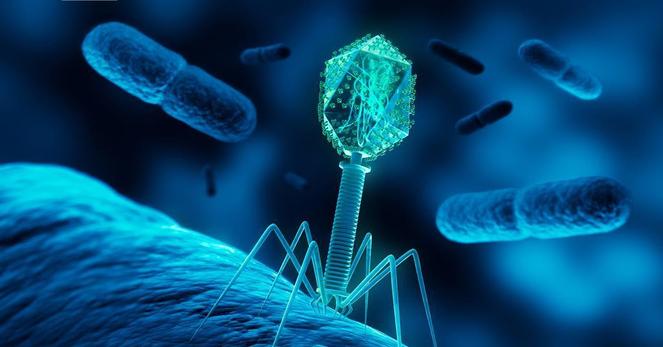 AI-designed bacteriophage genomes defeat bacterial resistance