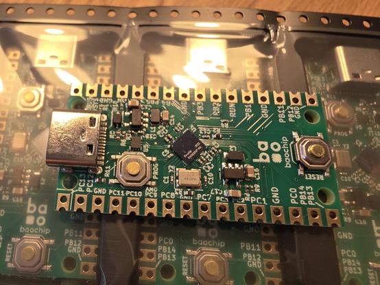 A Pico formfactor PCB but featuring a Baochip-1x. A small slim green PCB with golden castellated edges and a USB-C connector.