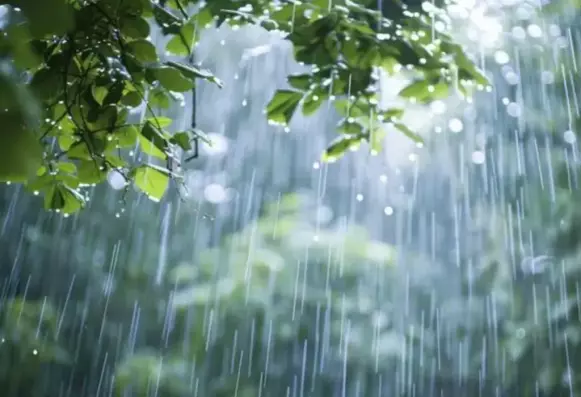 Rain and lightning observed in Azerbaijan's regions
