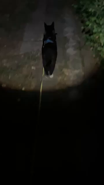 Malik geht durch den Garten und wird dabei von hinten von einer Taschenlampe angestrahlt und wirft Schatten