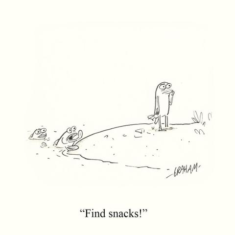 A hesitant cartoon fish with evolved legs stands on a pond bank, while two fish in the water watch and one yells "Find snacks!"