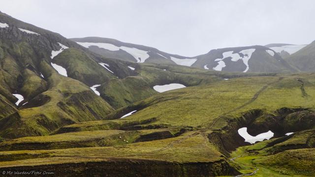 A colour photo of a rugged landscape under an overcast sky. Large patches of last winter's snow are still in the more protected channels and dips even though this shot was taken in August. The surface is green with moss, and tyre marks can be seen running across a flatter area. The hills themselves are heavily eroded by wind and water into bizarre shapes, but the mossy cover is almost total suggesting that the erosion happened long ago. In a lower channel between ridges, a river can be seen snaking past snow drifts. All of it looks otherworldly.
Near the bottom centre of the shot, three white sheep are grazing together.