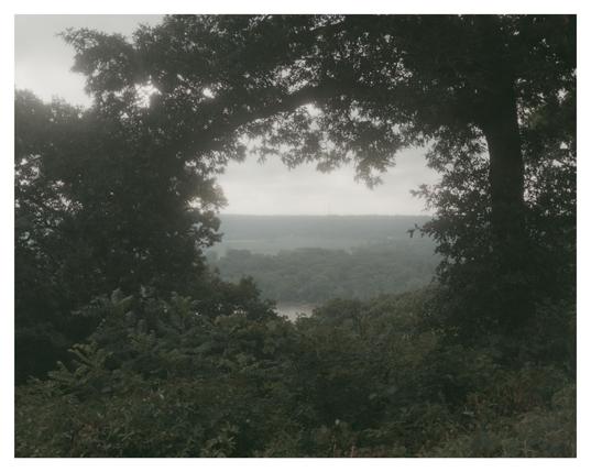 A view from an elevation looking across a river gorge framed on all sides with trees with a large branch going across the top creating a natural window frame with the valley across and bloomy sky beyond. It is very green, a bit gloomy, and you can feel the humidity just looking at the photo.