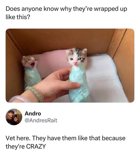 Picture of two smol kittens, both wrapped tightly in an unknown green thing, with their heads protruding.  One is giving a "sweet and innocent" look, the other is lying on a tiny bed with its mouth wide open (unsure whether this is yawning or what).  Caption reads:

"Does anyone know why they're wrapped up like this?"

"Vet here.  They have them like that because they're CRAZY"