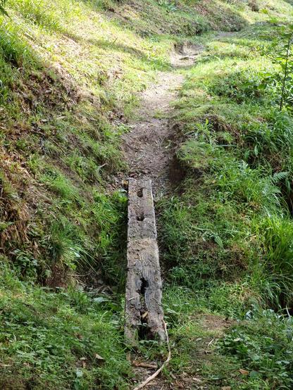 A less-than-safe looking rotting "bridge" across a tiny muddy stream - perhaps once upon a time it might have been a railway sleeper, now it's a balancing act for some of us!