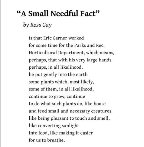 “A Small Needful Fact”
by Ross Gay

Is that Eric Garner worked
for some time for the Parks and Rec.
Horticultural Department, which means,
perhaps, that with his very large hands,
perhaps, in all likelihood,
he put gently into the earth
some plants which, most likely,
some of them, in all likelihood,
continue to grow, continue
to do what such plants do, like house
and feed small and necessary creatures,
like being pleasant to touch and smell,
like converting sunlight
into food, like making it easier
for us to breathe.