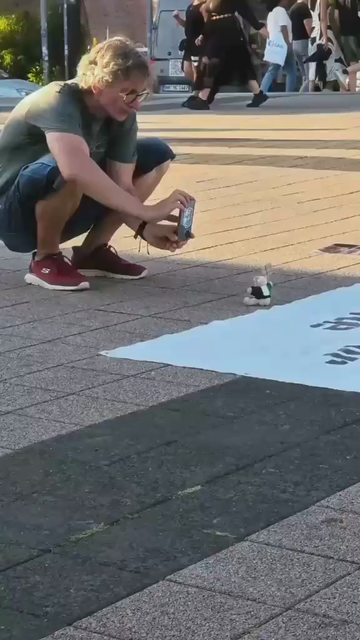 Footage of a daytime vigil for Palestine in Hamburg.  A huge Palestinian flag hangs from the harbour wall.  On the pavement in front of it, large banners are laid on the ground, surrounded by photos of the dead in frames, held down by sandbags in white sheets.  A small knitted teddy holds a miniature placard reading FREE PALESTINE