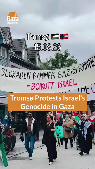 Footage of a Palestine solidarity march in Tromsø