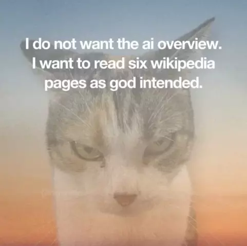 a transparentish cat with a background gradient with the text "I do not want the ai overview. I want to read six wikipedia pages as good intended.