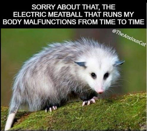 Image attached toot