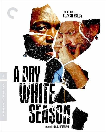 Movie poster for A DRY WHITE SEASON (1989)