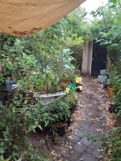 foto van achtertuin met natte tegels en druppels van het zonnedoek afdruppelend